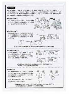 遊び方を掲載した取扱説明書入!