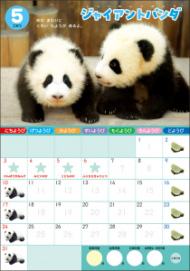 かわいい動物の写真がいっぱい