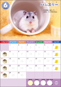 もふもふ ふわふわ