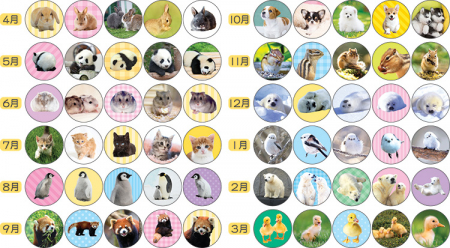 各月の出席シールの絵柄は5 種類。一週間同じシールが貼れます。