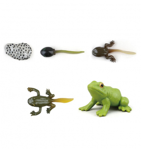 フィギュア　かえる