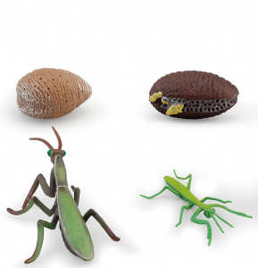 フィギュア　かまきり