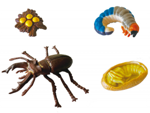 フィギュア　くわがたむし