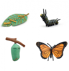 フィギュア　ちょう