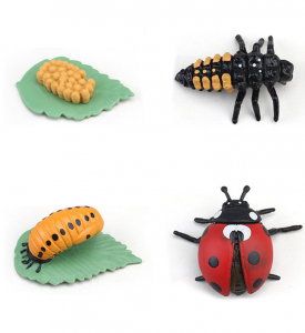 フィギュア　てんとうむし