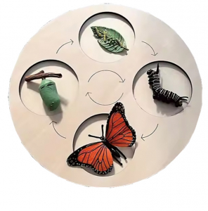 トレイにフィギアを のせたところ