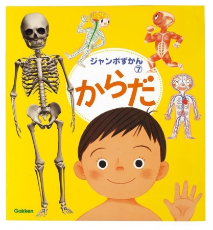 ７.「からだ」<br>子どもの全身の骨、赤ちゃんなどを実物大のイラストで紹介！ほかにも筋肉、血管、神経、消化など大きなイラストでわかりやすく見ることができます。