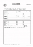 家庭生活調査票用紙　Ｂ　１００枚　Ａ４判